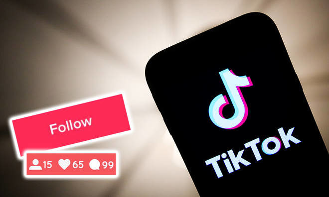 How Can You Make People Follow You On Tiktok?
