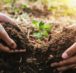 soil conservation methods